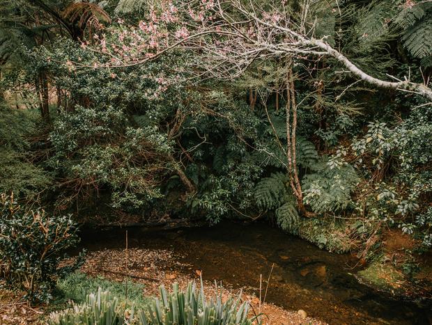 Photo 34 for Blossoms, Baths & Barefoot Bliss