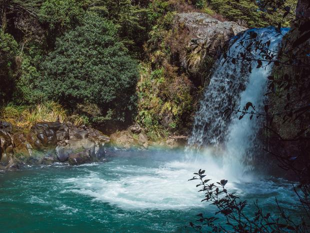 Photo 1 for Raging Tawhai Falls
