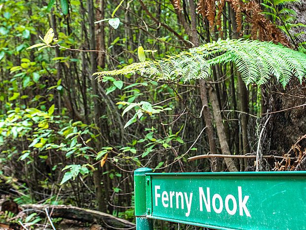 Photo 5 for Running Creek Track King Lake National Park