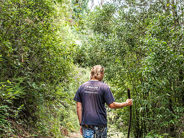 Photo 4 for Running Creek Track King Lake National Park