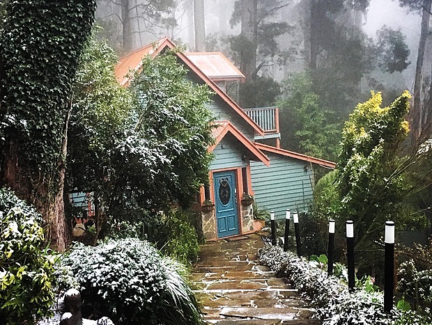Photo 25 for A Forest Retreat @ Wild Orchid Olinda
