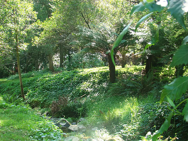 Wildlife on the Property