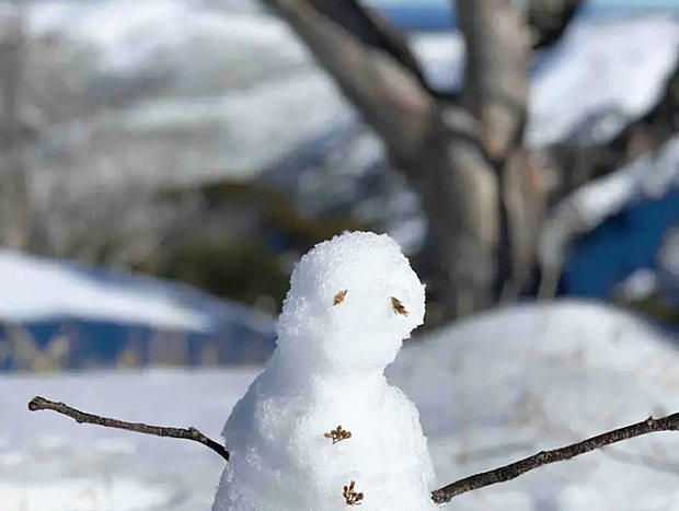 Photo 9 for The Nest | Mt Hotham