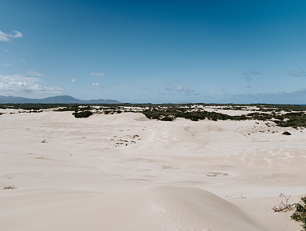 Photo 4 for Explore the sand dunes