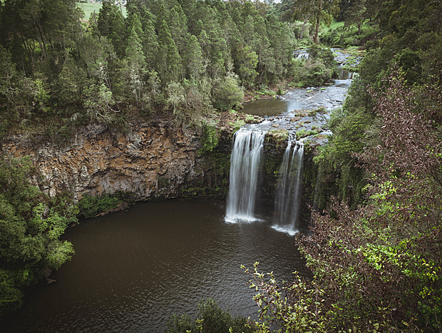 Photo 3 for Swimming at Dangar Falls