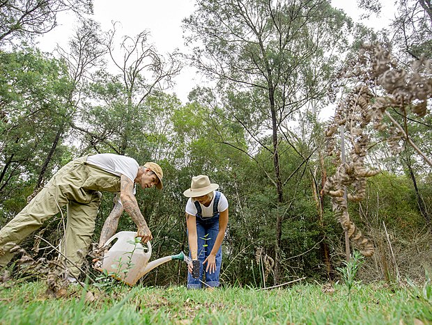Photo 2 for Plant a Tree