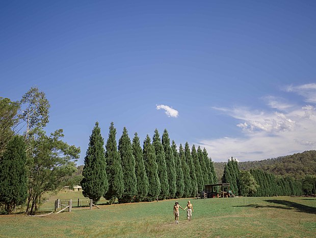 Photo 2 for Exploring the bushland