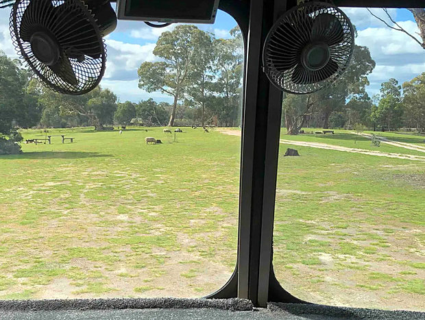 Photo 11 for Grampians Old Man Emu Stay Bedford a 1968 Bus