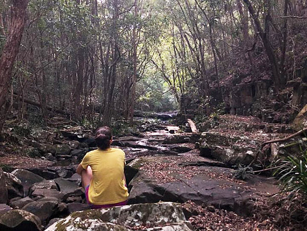 Bushwalks on the Property