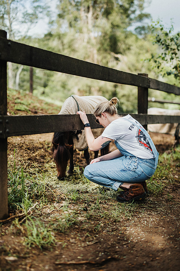 Meet The Horses Riparide