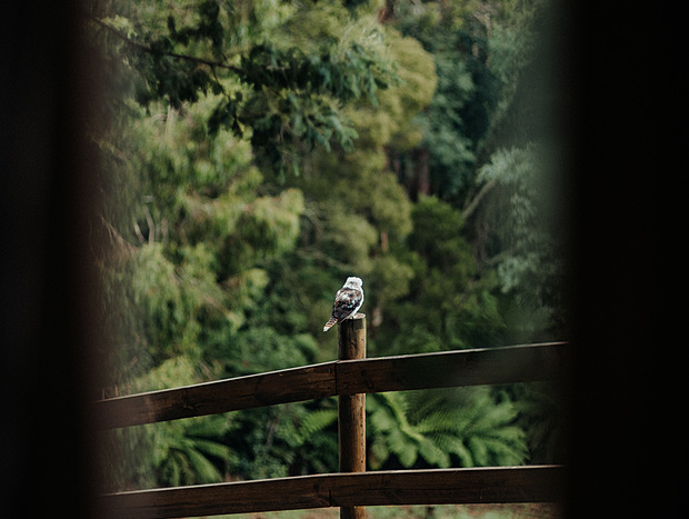 Photo 14 for Cozy Dandenong Nights