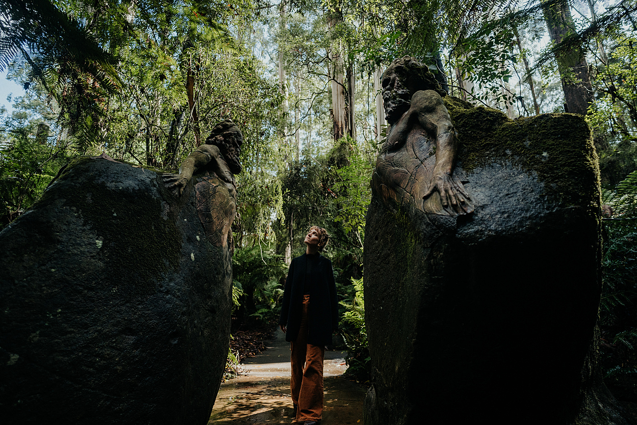Cozy Dandenong Nights Adventure by Andrew in Emerald, Dandenong