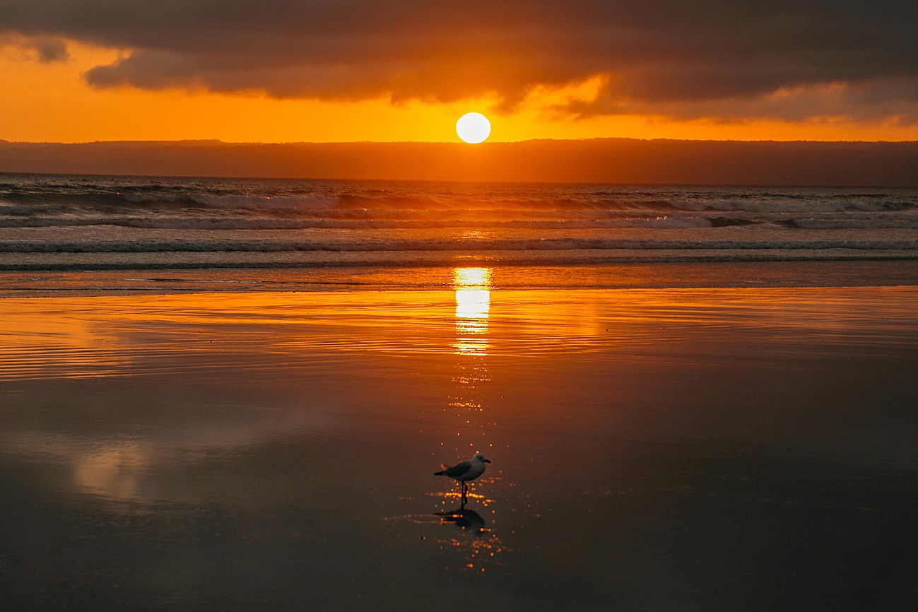 Oberon Beach House Eco house for Rent in Sandy Point, Gippsland, VIC