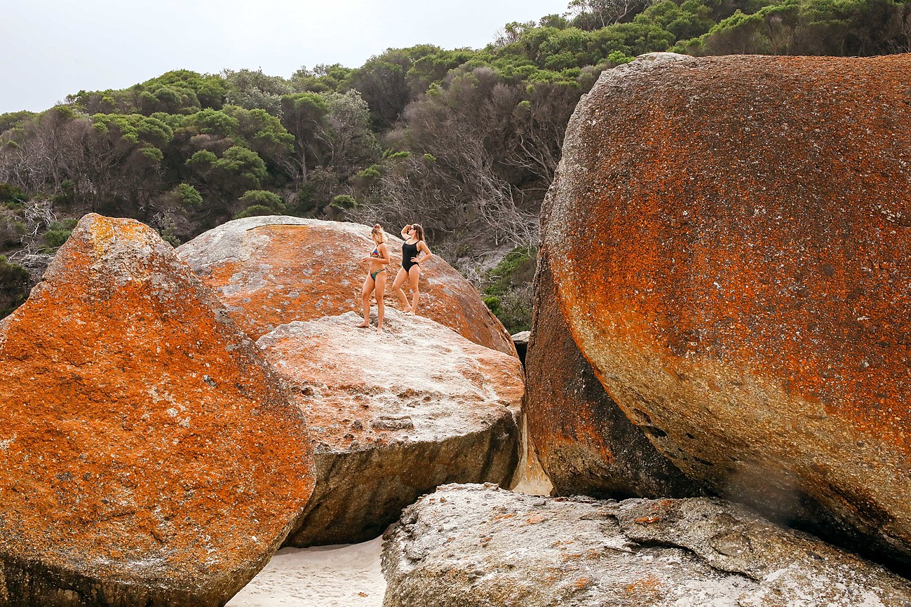 Oberon Beach House Eco house for Rent in Sandy Point, Gippsland, VIC