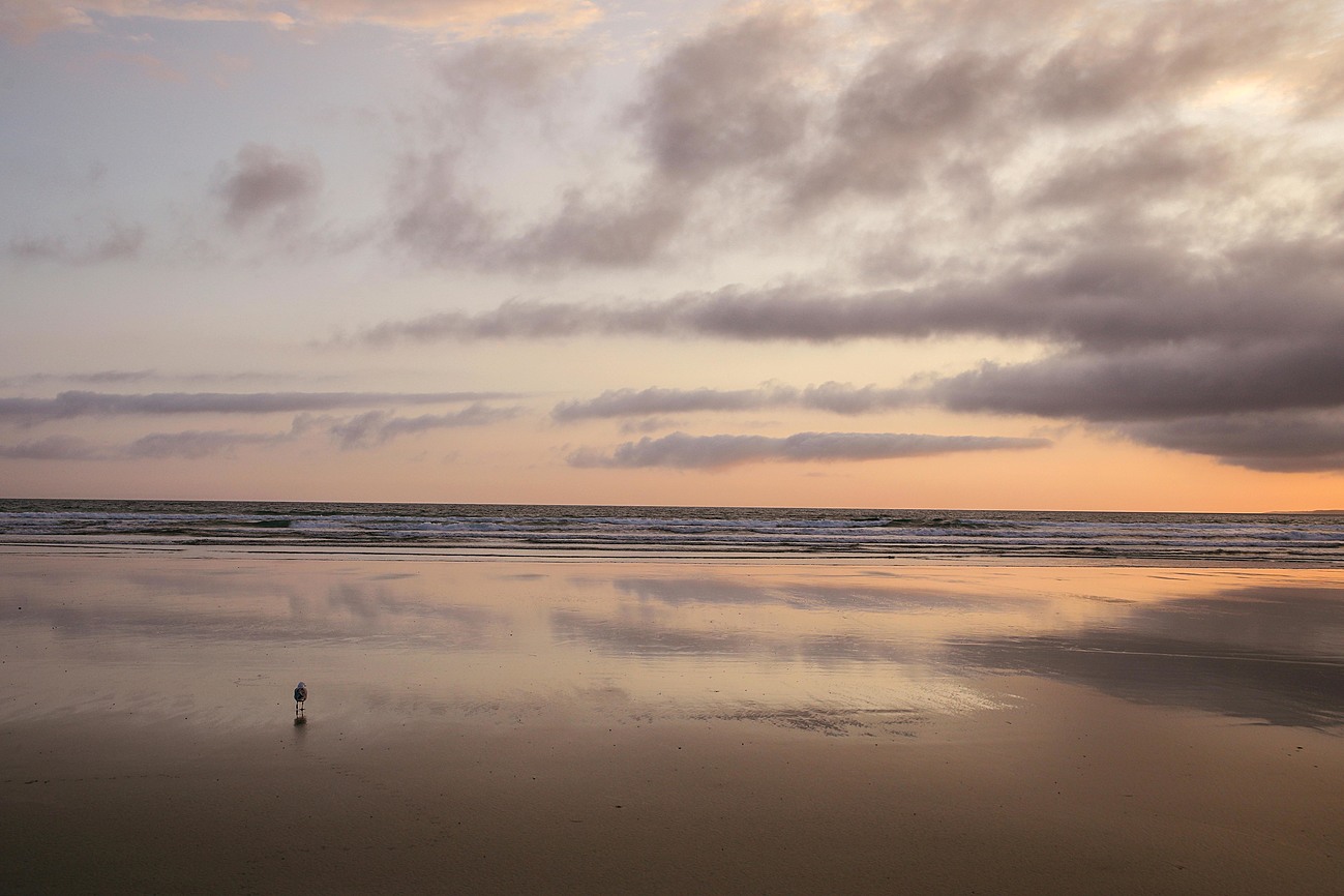 Oberon Beach Retreat Adventure by Patricia in Sandy Point, Gippsland