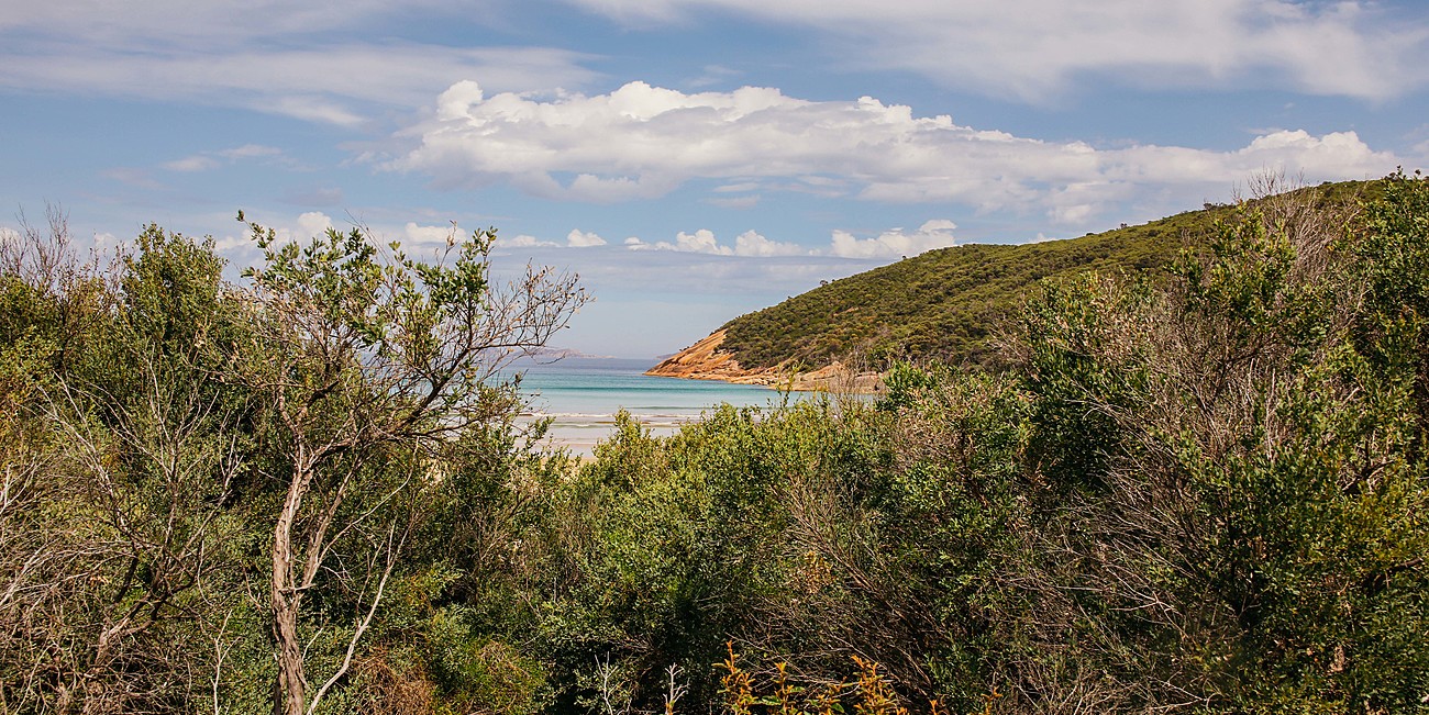 Oberon Beach Retreat Adventure by Patricia in Sandy Point, Gippsland