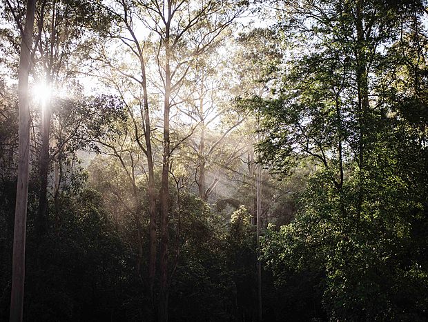 Photo 9 for Tranquil Wilderness