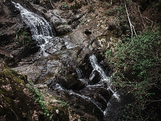 Photo 6 for Waterfall Walk