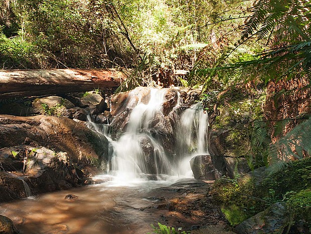 Photo 19 for Tranquil Forest Hideaway