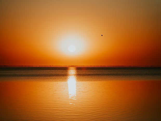 Photo 3 for Sunrise at Lake Wellington