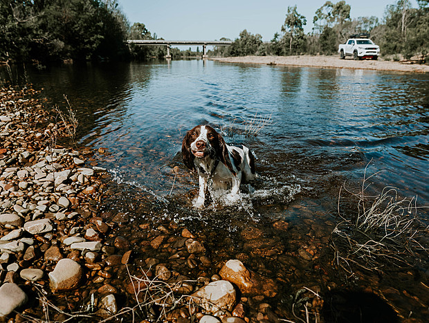 Photo 1 for Freestone Creek