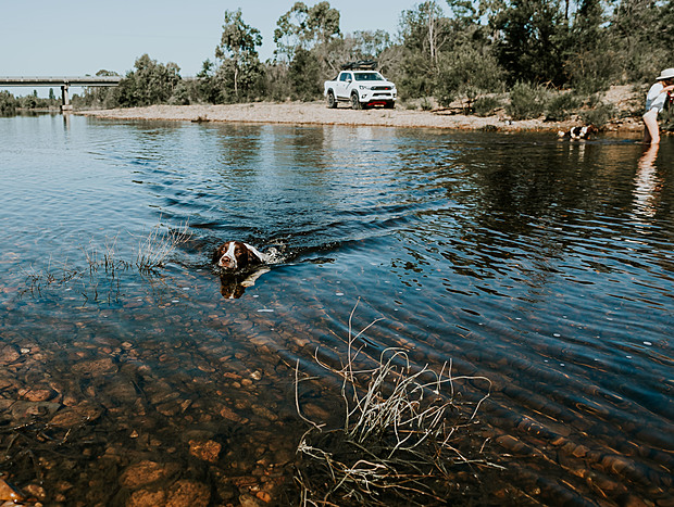 Photo 2 for Freestone Creek