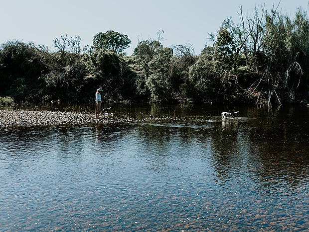 Photo 4 for Freestone Creek