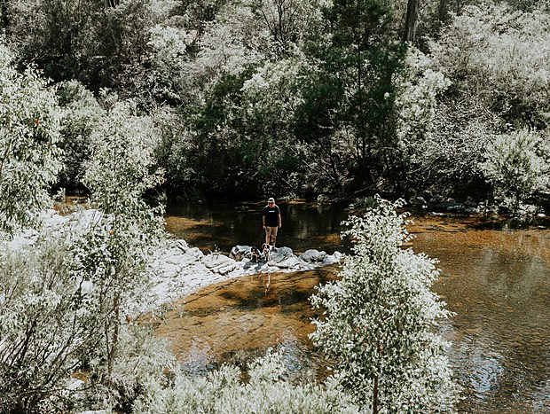 Photo 1 for George Creek Streamside