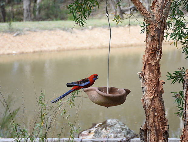 Photo 22 for Potters Cottage - 100 acres of paradise!