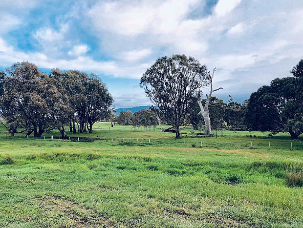 Photo 15 for Historic Shearers Quarters @ Mount William Station