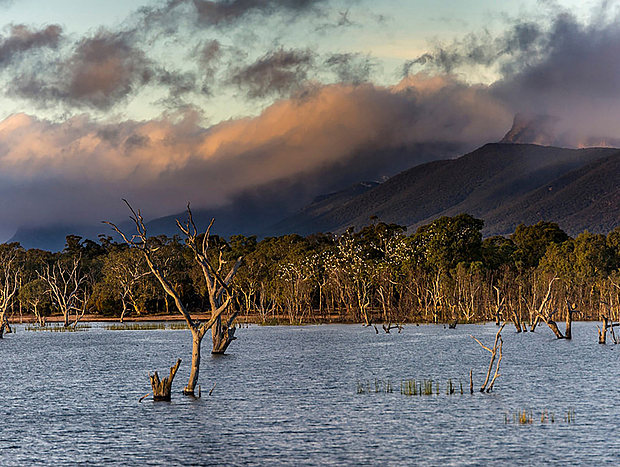 Photo 18 for Historic Shearers Quarters @ Mount William Station