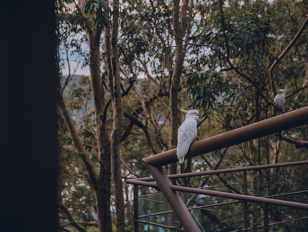 Photo 23 for Treetop Getaway