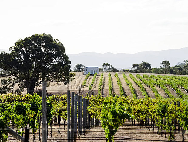 Photo 4 for Hounds Run Vineyard - Tiny House