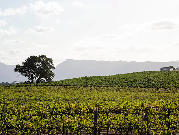 Photo 13 for Hounds Run Vineyard - Tiny House