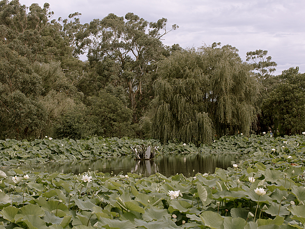 Photo 7 for undefined