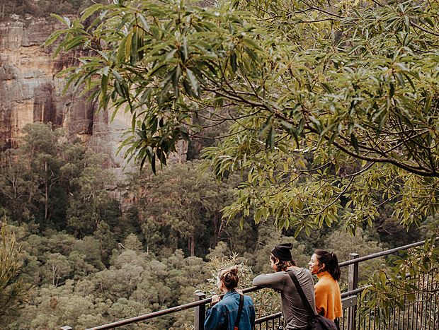 Photo 2 for Fitzroy Falls Lookout