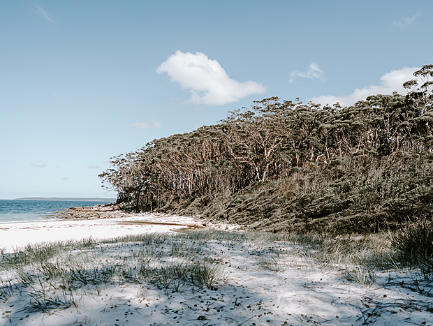 Photo 4 for Greenfield Beach