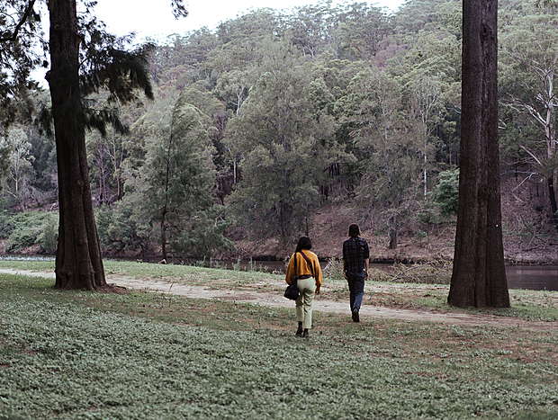 Photo 3 for Wombat Watching