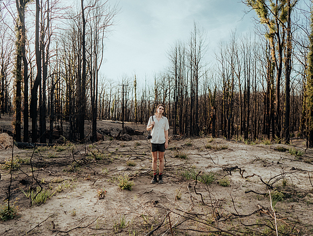 Photo 1 for Regeneration after the bushfires