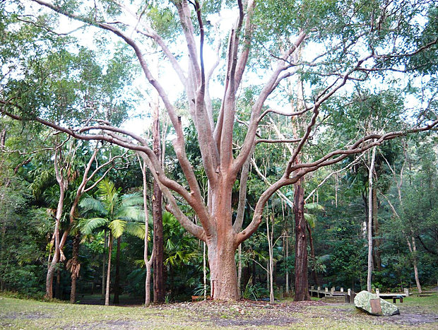 Photo 15 for The Yoga Retreat