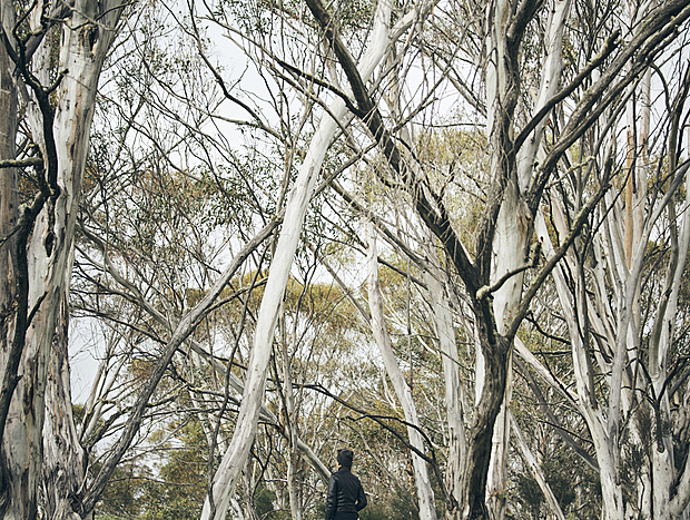 Photo 13 for Snowy River Bushland