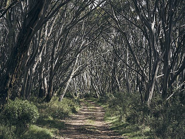 Photo 5 for undefined