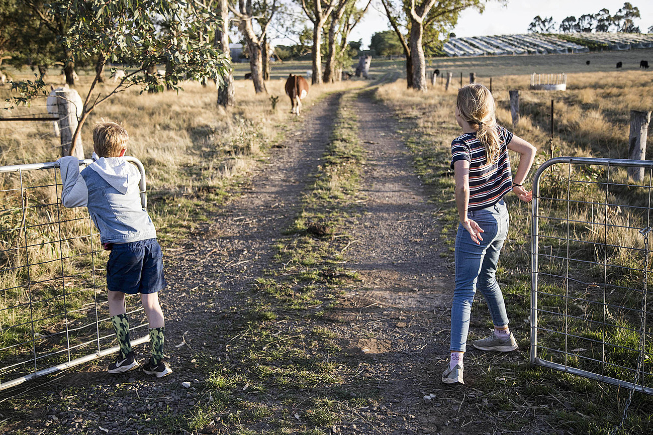 Exploring The Farm Riparide