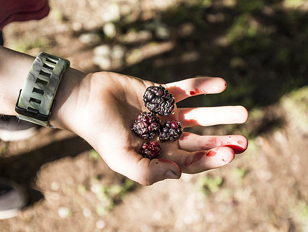 Photo 2 for Exploring The Farm