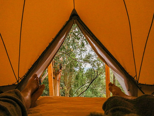 Photo 15 for Glamping Amongst the Trees