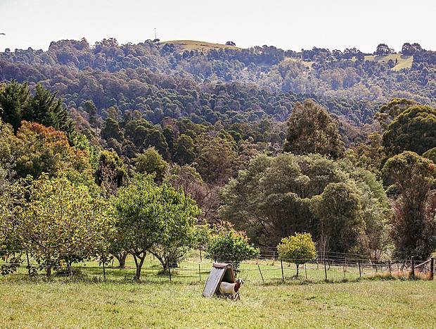 Photo 17 for Glamping Amongst the Trees