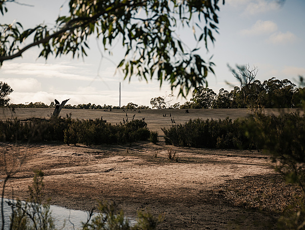 Photo 19 for Gazing in the Grampians
