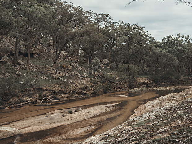Photo 4 for Bushwalking in the Golburn River National Park
