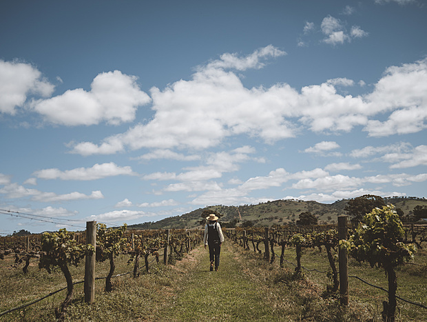 Photo 1 for Mudgee Wine Region