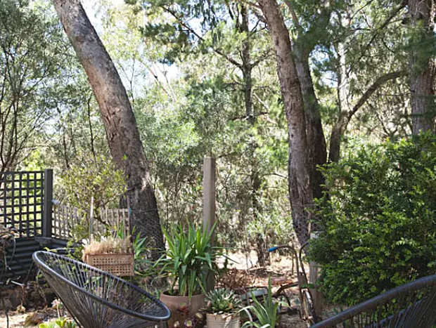 Photo 24 for Spring Creek Cottage Hepburn